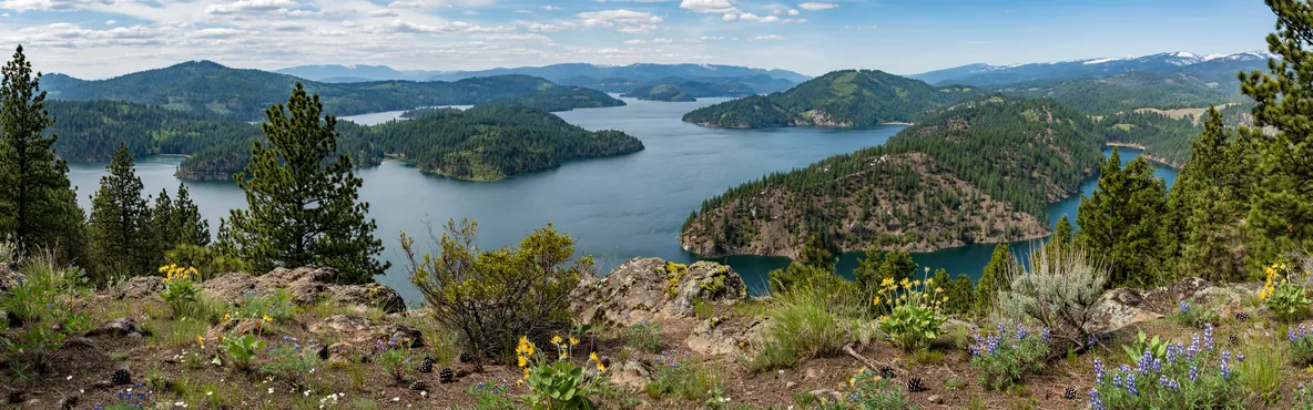 The Ultimate Guide to Exploring Coeur d'Alene's Natural Beauty